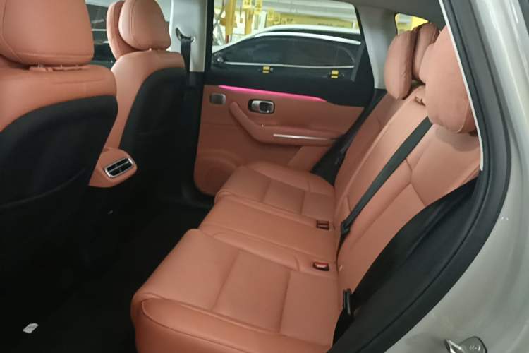 Used Leapmotor C10 2024 530 Smart Edition Left Rear Seat