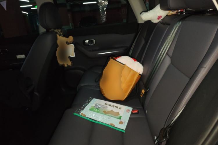 Used Leapmotor C10 2024 210 Smart Edition Left Rear Seat