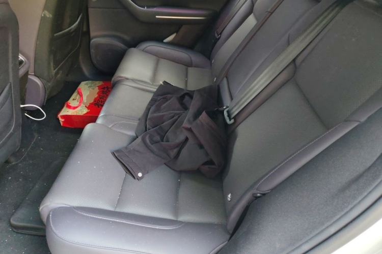 Used Leapmotor C10 2024 530 Smart Edition Left Rear Seat