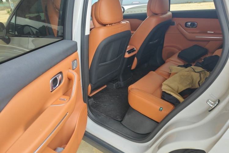 Used Leapmotor C10 2024 530 Smart Edition Left Rear Seat