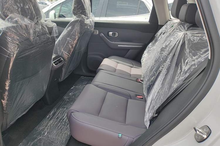 Used Leapmotor C10 2024 210 Smart Edition Left Rear Seat
