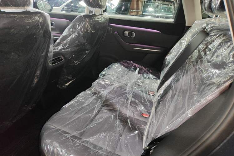 Used Leapmotor C10 2024 210 Smart Edition Left Rear Seat