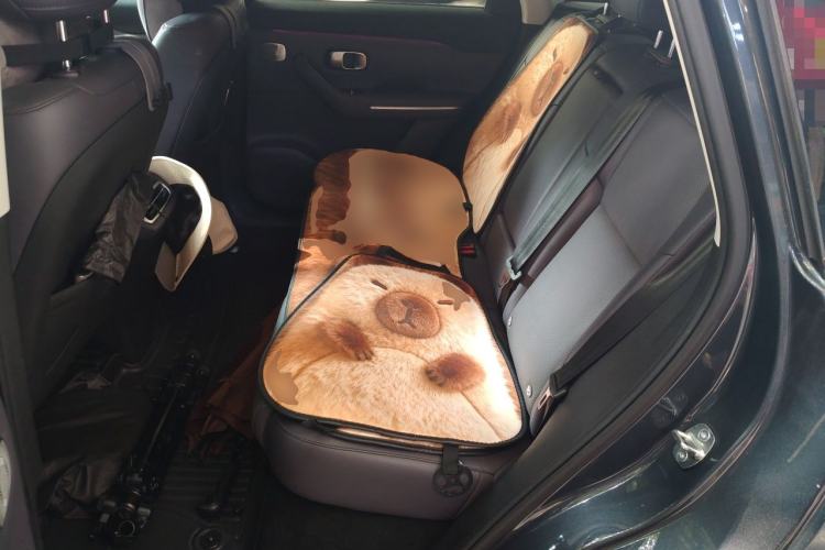 Used Leapmotor C10 2024 530 Comfort Edition Left Rear Seat