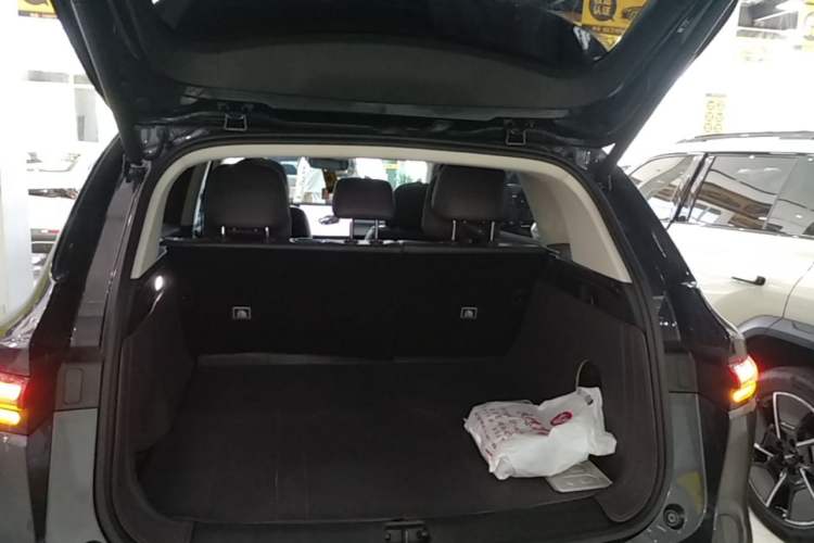 Used Leapmotor C10 2024 210 Smart Edition Trunk