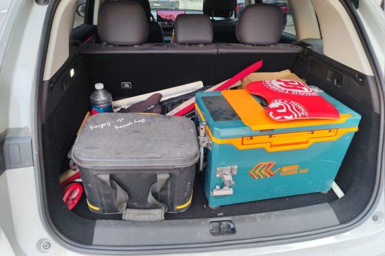 Used Leapmotor C10 2024 530 Smart Edition Trunk