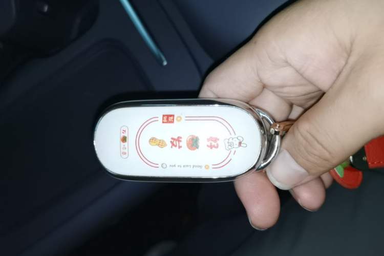 Used Leapmotor C10 2024 530 Smart Edition Vehicle Key