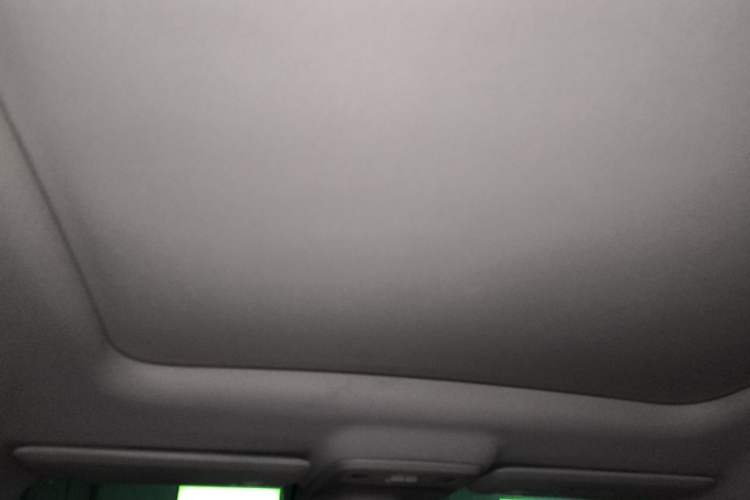 Used Leapmotor C10 2024 210 Smart Edition Headliner