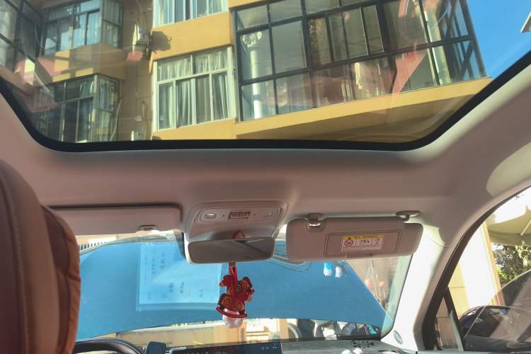 Used Leapmotor C10 2024 530 Smart Edition Headliner