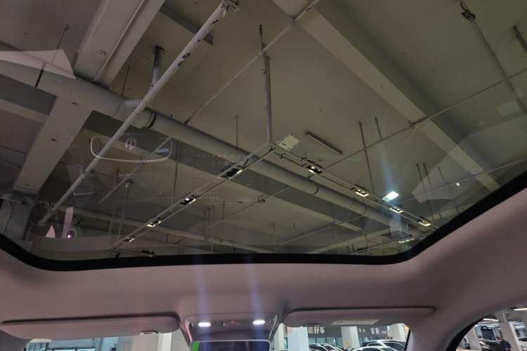 Used Leapmotor C10 2024 530 Smart Edition Headliner