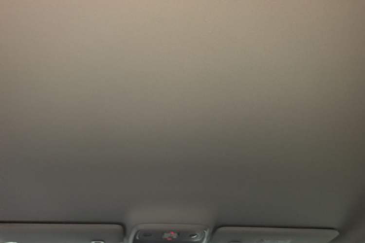 Used Leapmotor C10 2024 210 Comfort Edition Headliner