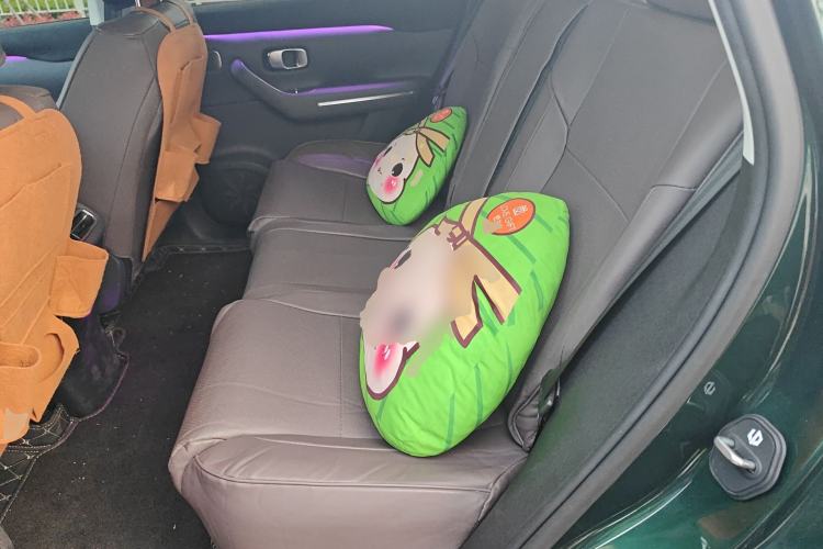 Used Leapmotor C10 2024 530 LiDAR Edition Left Rear Seat