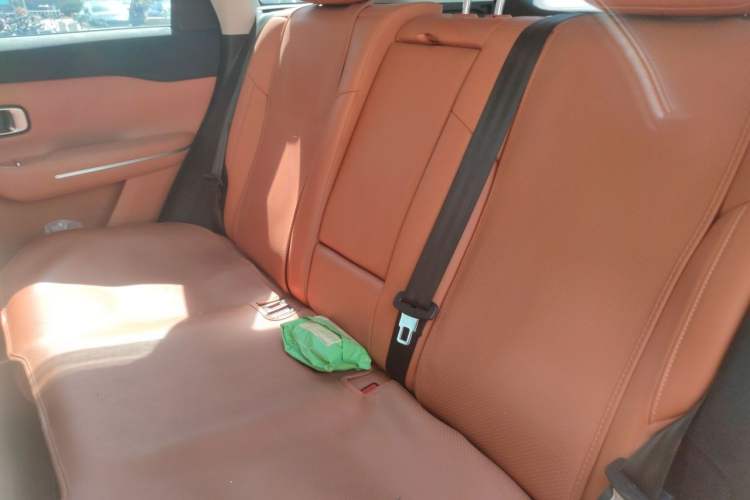 Used Leapmotor C10 2024 530 Smart Edition Left Rear Seat