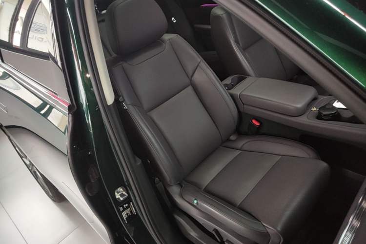 Used Leapmotor C10 2024 530 Smart Edition Right Front Seat