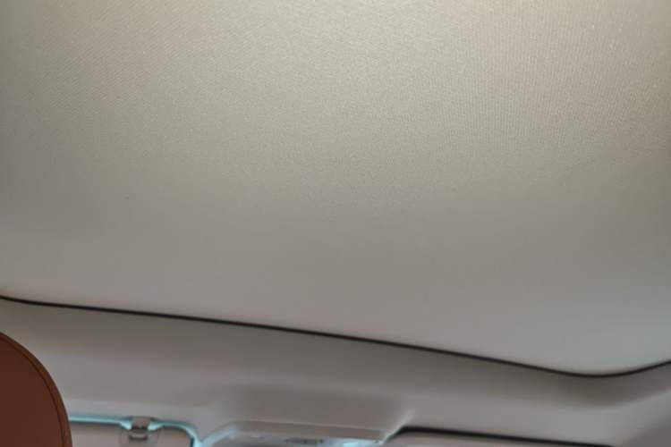 Used Leapmotor C10 2024 530 Smart Edition Headliner