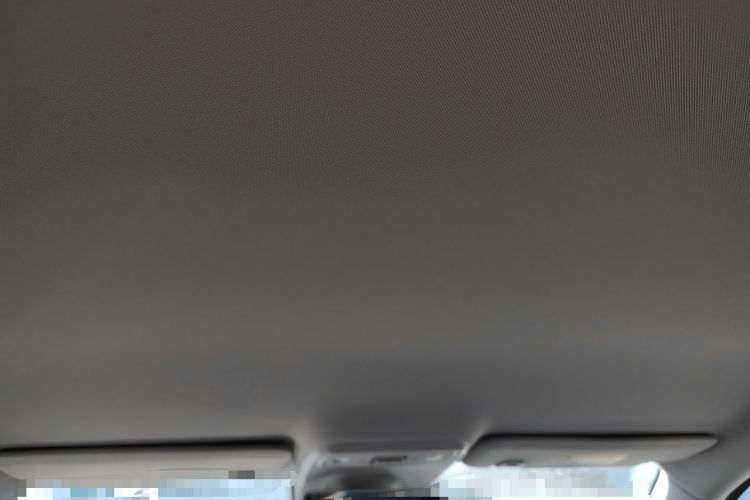 Used Leapmotor C10 2024 530 Comfort Edition Headliner