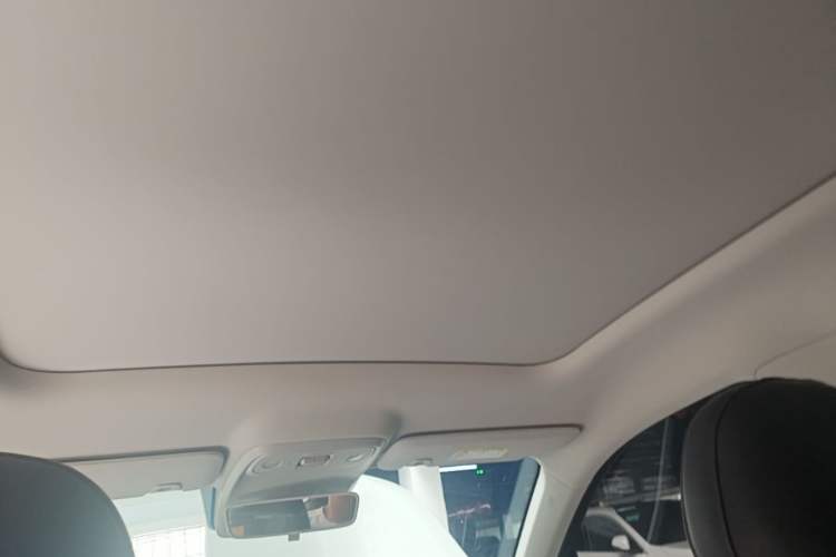 Used Leapmotor C10 2024 530 Smart Edition Headliner