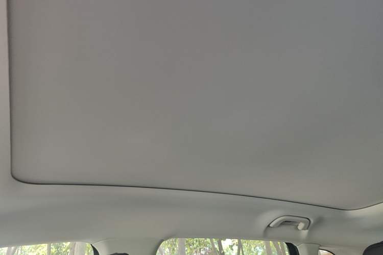 Used Leapmotor C10 2024 530 Smart Edition Headliner