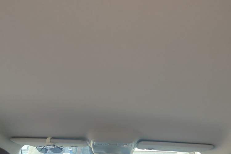 Used Leapmotor C10 2024 210 Comfort Edition Headliner