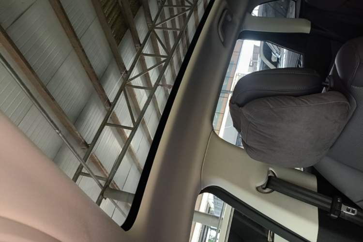 Used Leapmotor C10 2024 210 Smart Edition Headliner