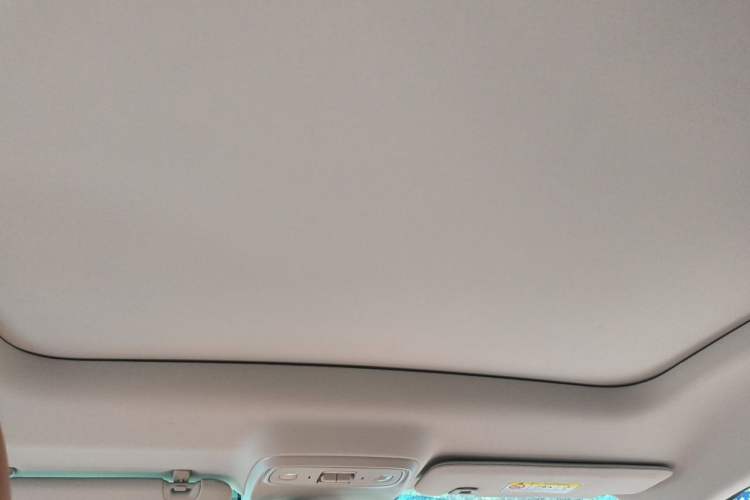 Used Leapmotor C10 2024 530 Smart Edition Headliner