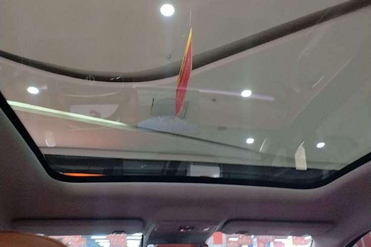 Used Leapmotor C10 2024 530 Smart Edition Headliner