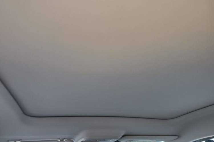 Used Leapmotor C10 2024 530 Smart Edition Headliner