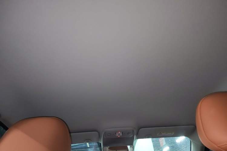 Used Leapmotor C10 2024 530 Comfort Edition Headliner