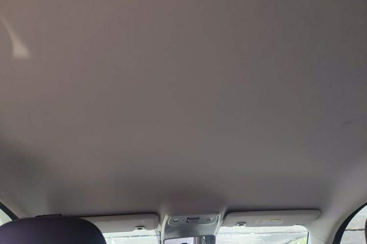 Used Leapmotor C10 2024 530 Comfort Edition Headliner