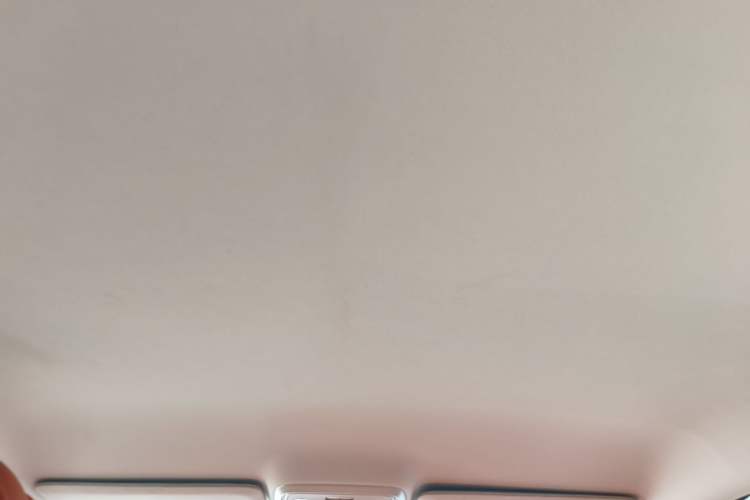 Used Leapmotor C10 2024 530 Comfort Edition Headliner