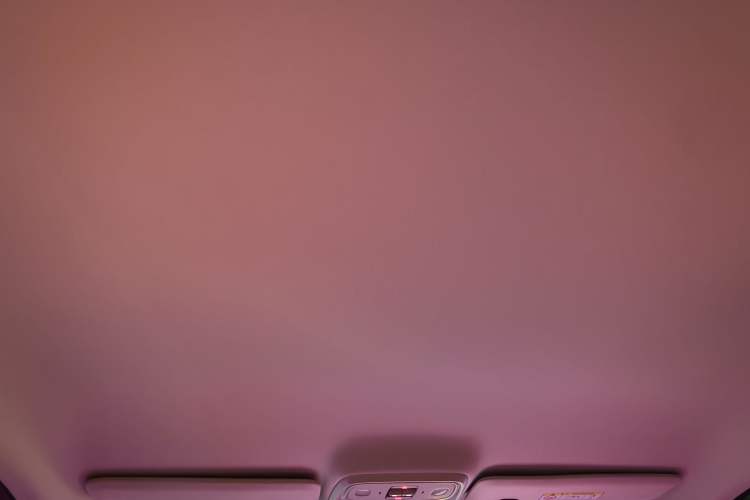 Used Leapmotor C10 2024 210 Comfort Edition Headliner