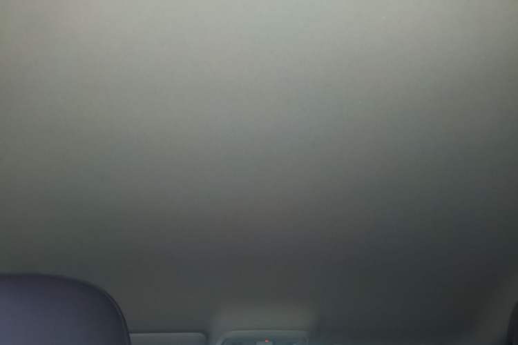 Used Leapmotor C10 2024 530 Comfort Edition Headliner