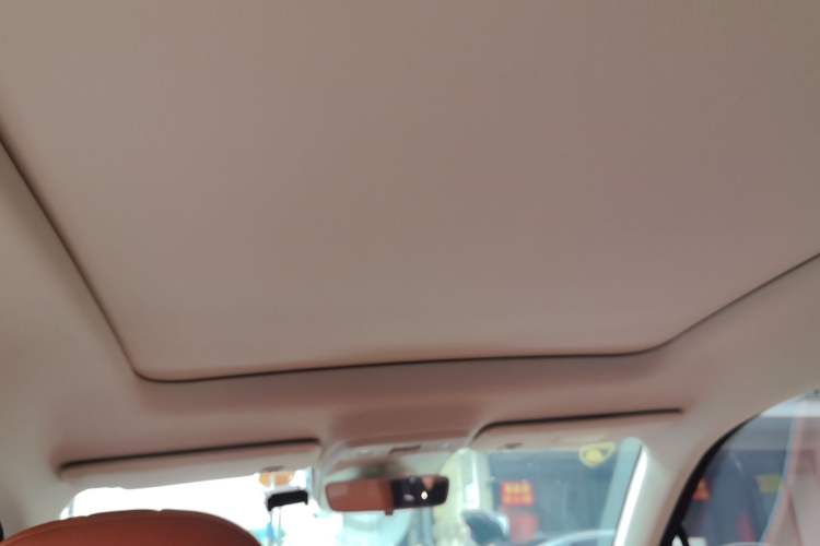 Used Leapmotor C10 2024 530 Smart Edition Headliner