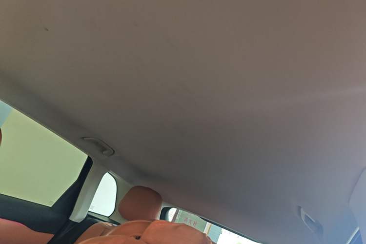Used Leapmotor C10 2024 530 Comfort Edition Headliner