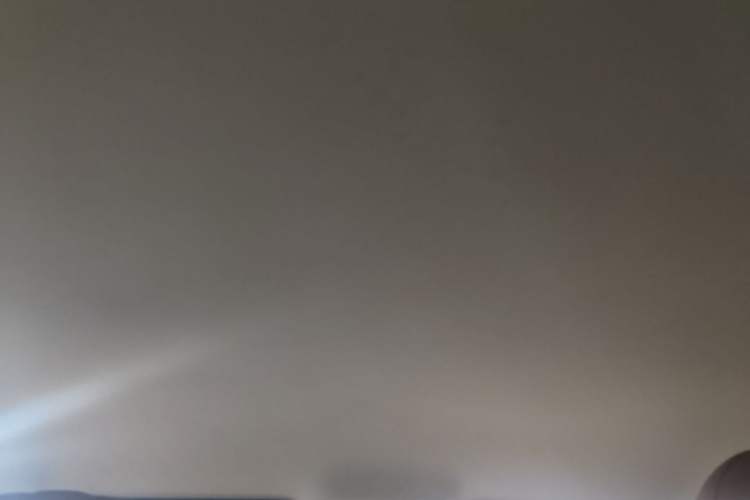 Used Leapmotor C10 2024 530 Comfort Edition Headliner