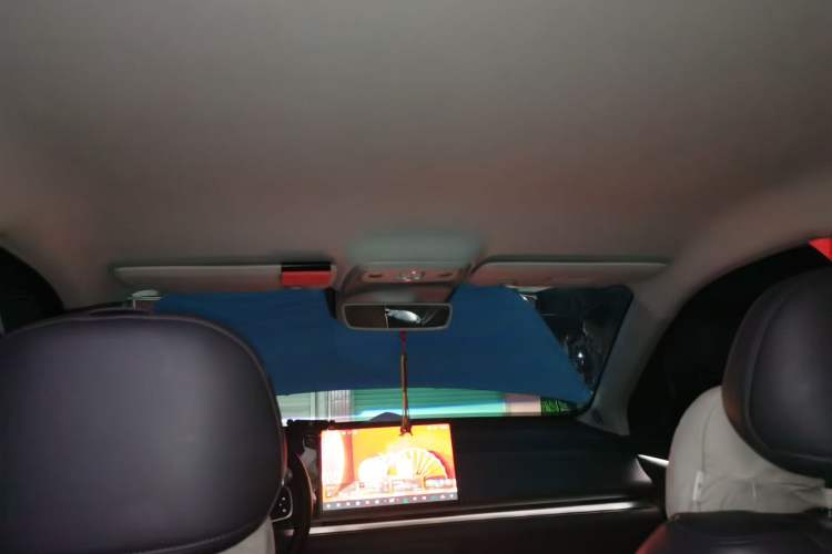 Used Leapmotor C10 2024 530 Comfort Edition Headliner
