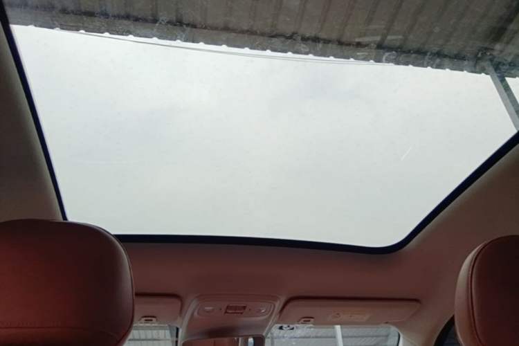 Used Leapmotor C10 2024 530 Smart Edition Headliner