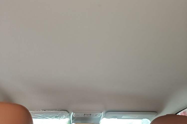 Used Leapmotor C10 2024 410 Comfort Edition Headliner