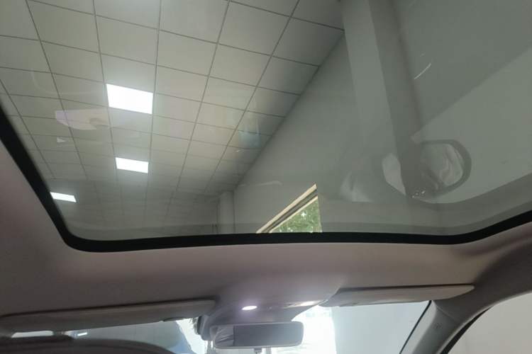 Used Leapmotor C10 2024 530 Smart Edition Headliner