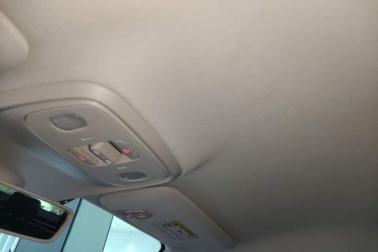 Used Leapmotor C10 2024 530 Comfort Edition Headliner