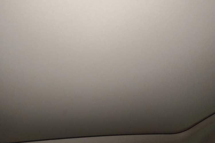 Used Leapmotor C10 2024 530 Smart Edition Headliner