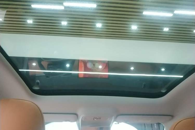 Used Leapmotor C10 2024 530 Smart Edition Headliner