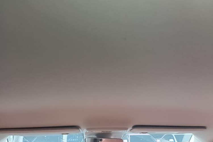 Used Leapmotor C10 2024 530 Comfort Edition Headliner