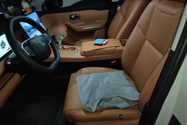 Used Leapmotor C10 2024 530 Smart Edition Left Front Seat