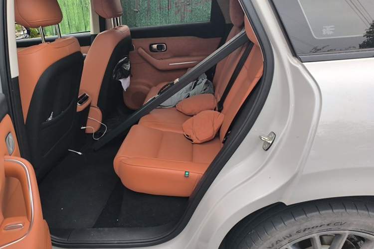 Used Leapmotor C10 2024 530 Smart Edition Left Rear Seat