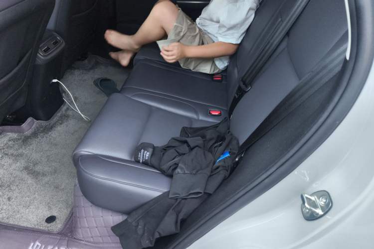 Used Leapmotor C10 2024 530 Smart Edition Left Rear Seat