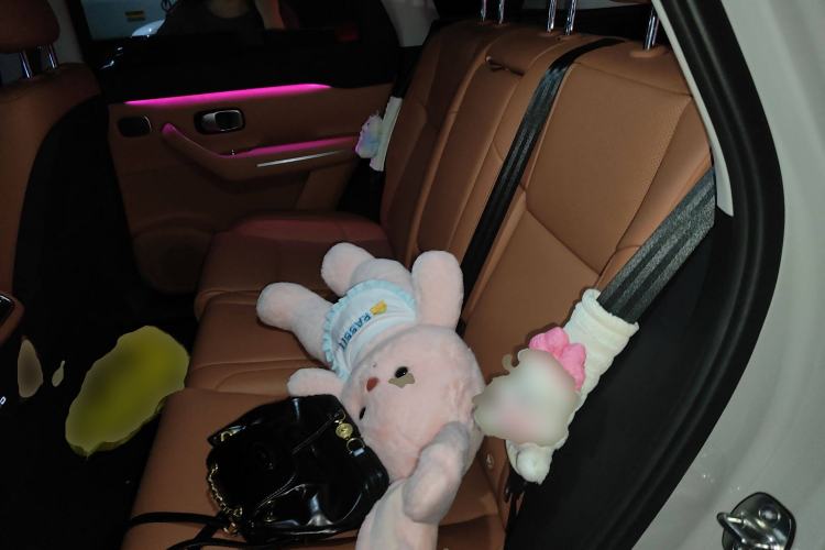 Used Leapmotor C10 2024 530 Smart Edition Left Rear Seat