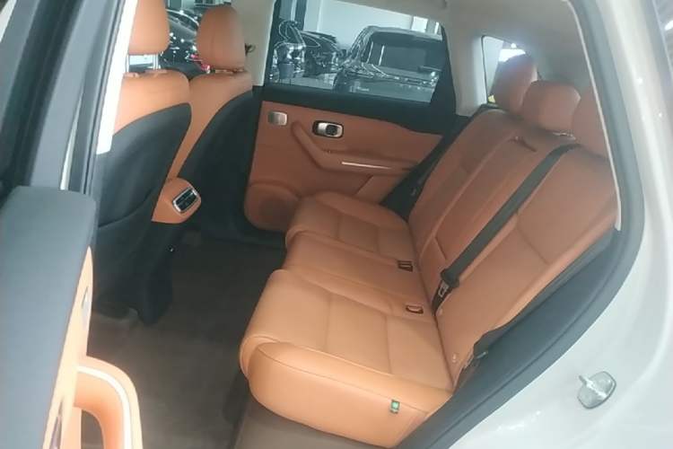 Used Leapmotor C10 2024 530 Smart Edition Left Rear Seat