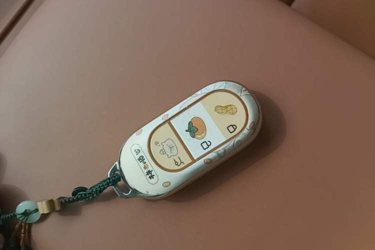 Used Leapmotor C10 2024 530 Comfort Edition Vehicle Key