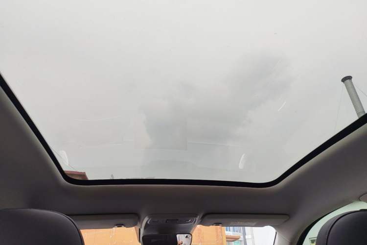 Used Leapmotor C10 2024 530 Smart Edition Headliner