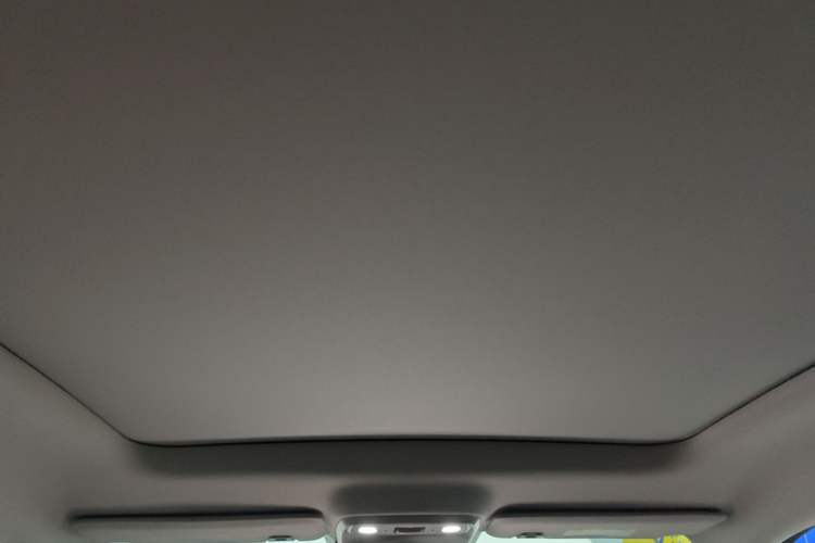 Used Leapmotor C10 2024 210 Smart Edition Headliner